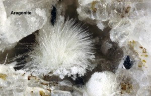 Photo Aragonite.jpg