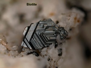 Photo Biotite.jpg